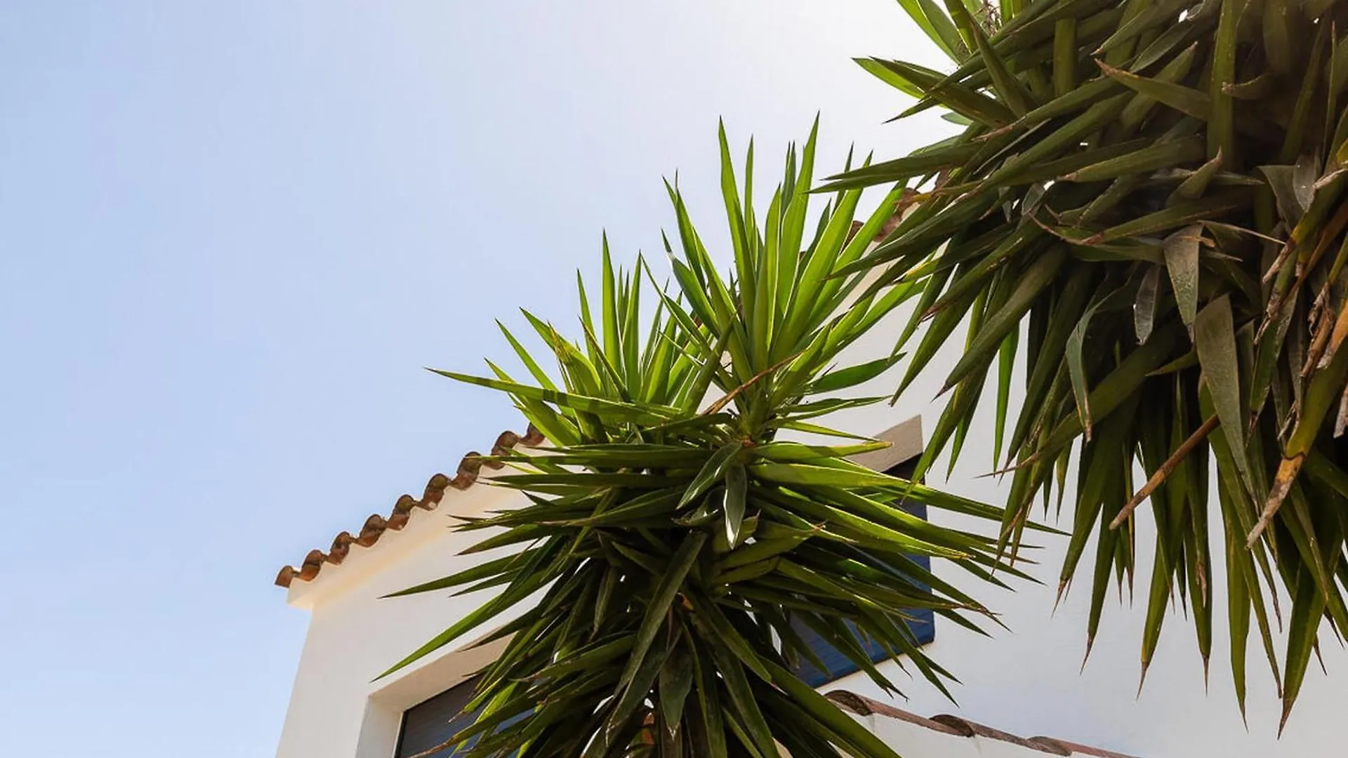 Casa Aloha Goertz Con Amarre Y Piscina - Hisp-288-67 Villa Empuriabrava 0*,